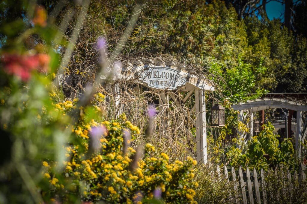 A welcome sign greets visitors to Organic Harvest Gardens in North Long Beach. Photo by Brian Addison.