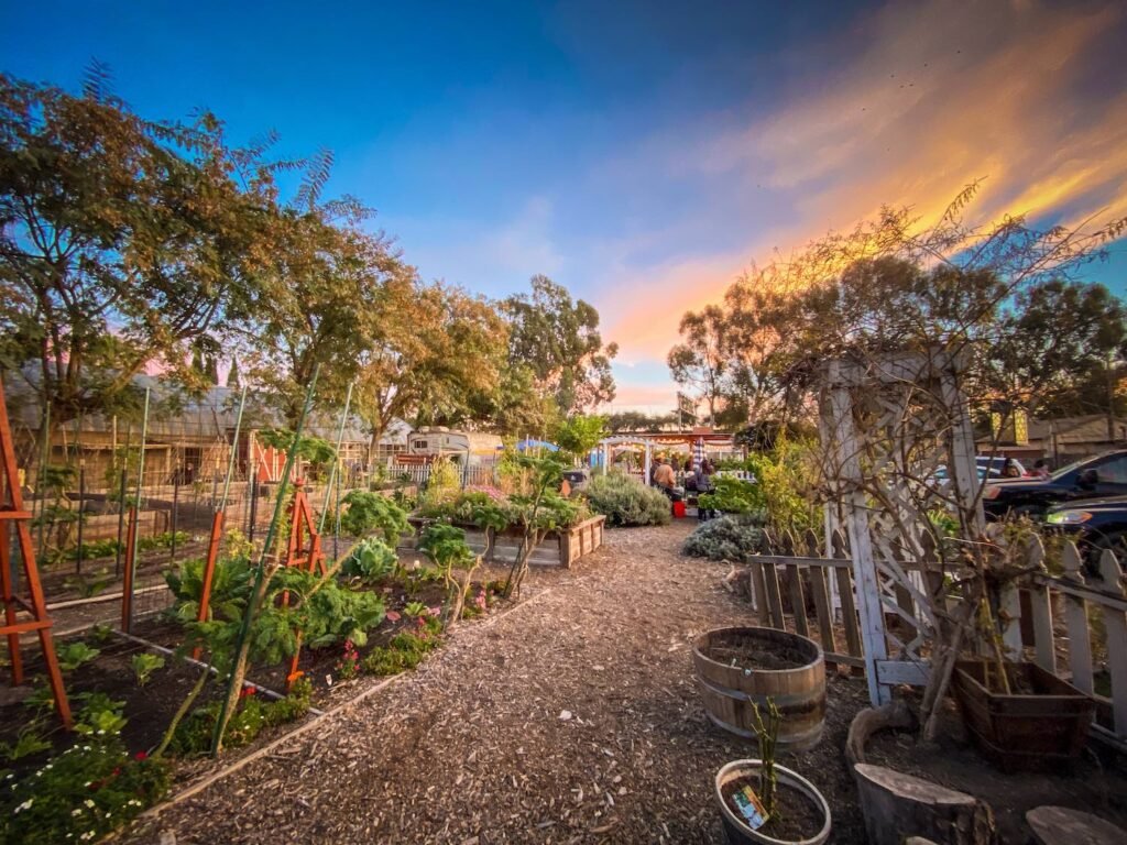 The beauty of North Long Beach's Organic Harvest Gardens. Photo by Brian Addison.