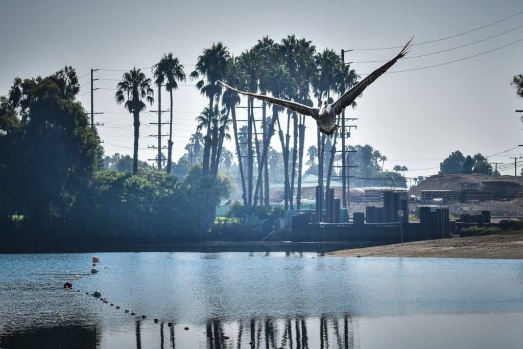 colorado lagoon marine stadium