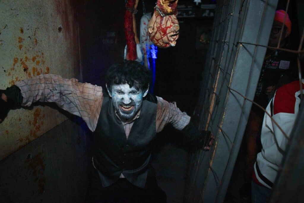 dark harbor