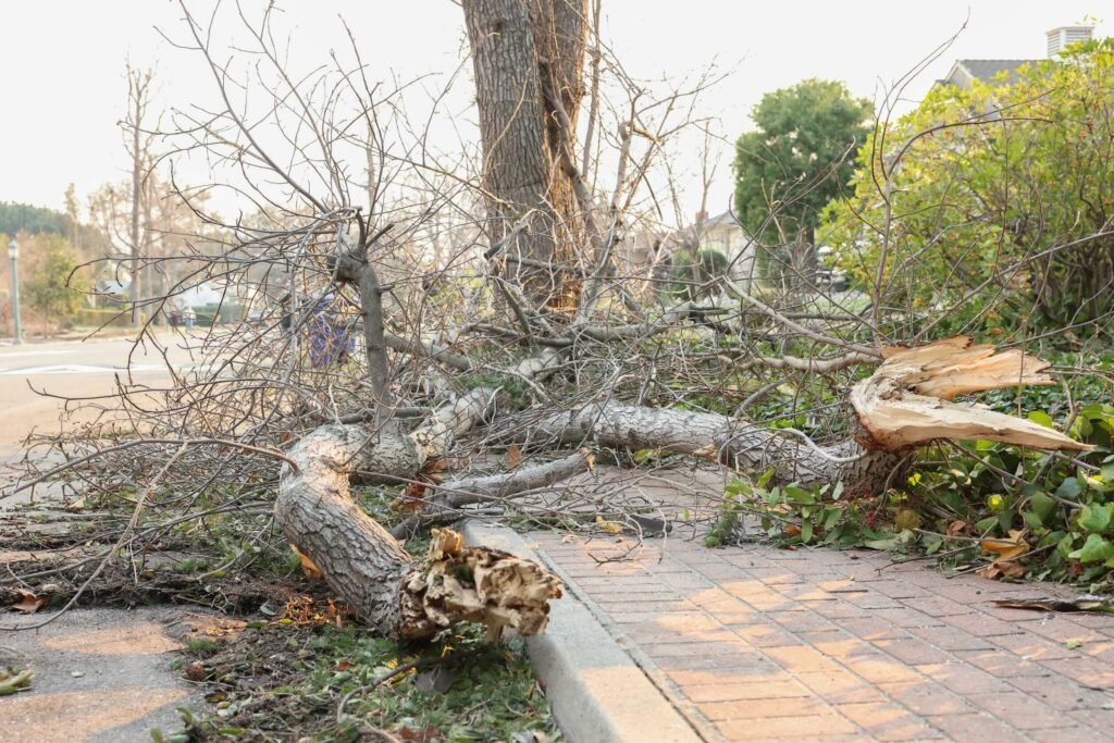 duke givens relief efforts long beach