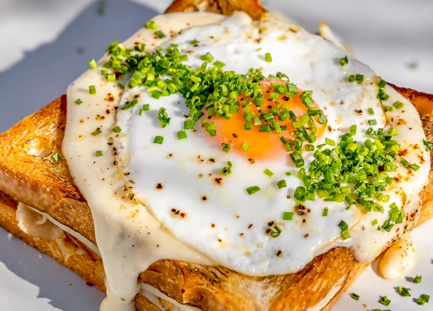 long beach brunch breakfast let's yolk about it