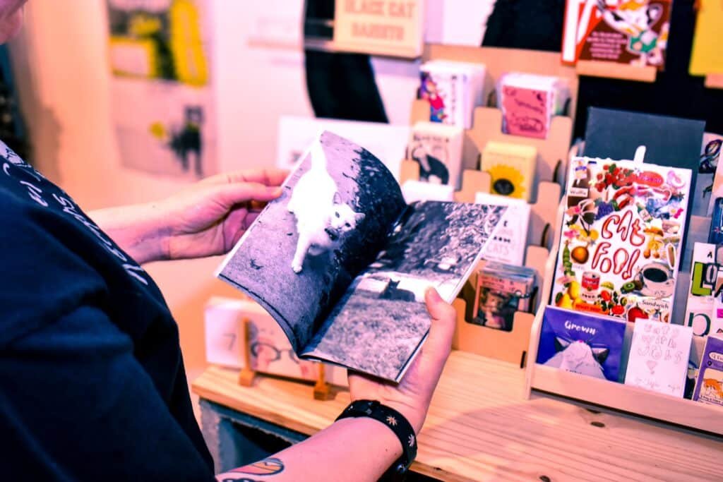 cat zine fest cool cat collective long beach