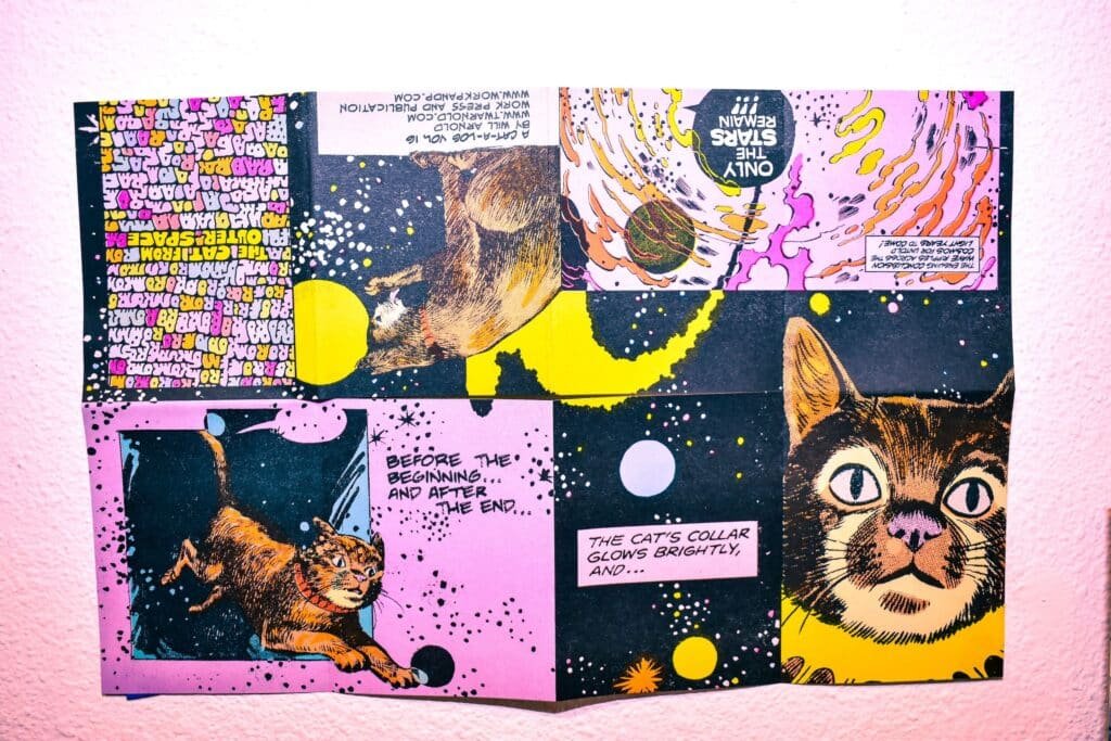 cat zine fest cool cat collective long beach