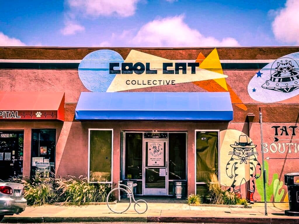 cat zine fest cool cat collective long beach