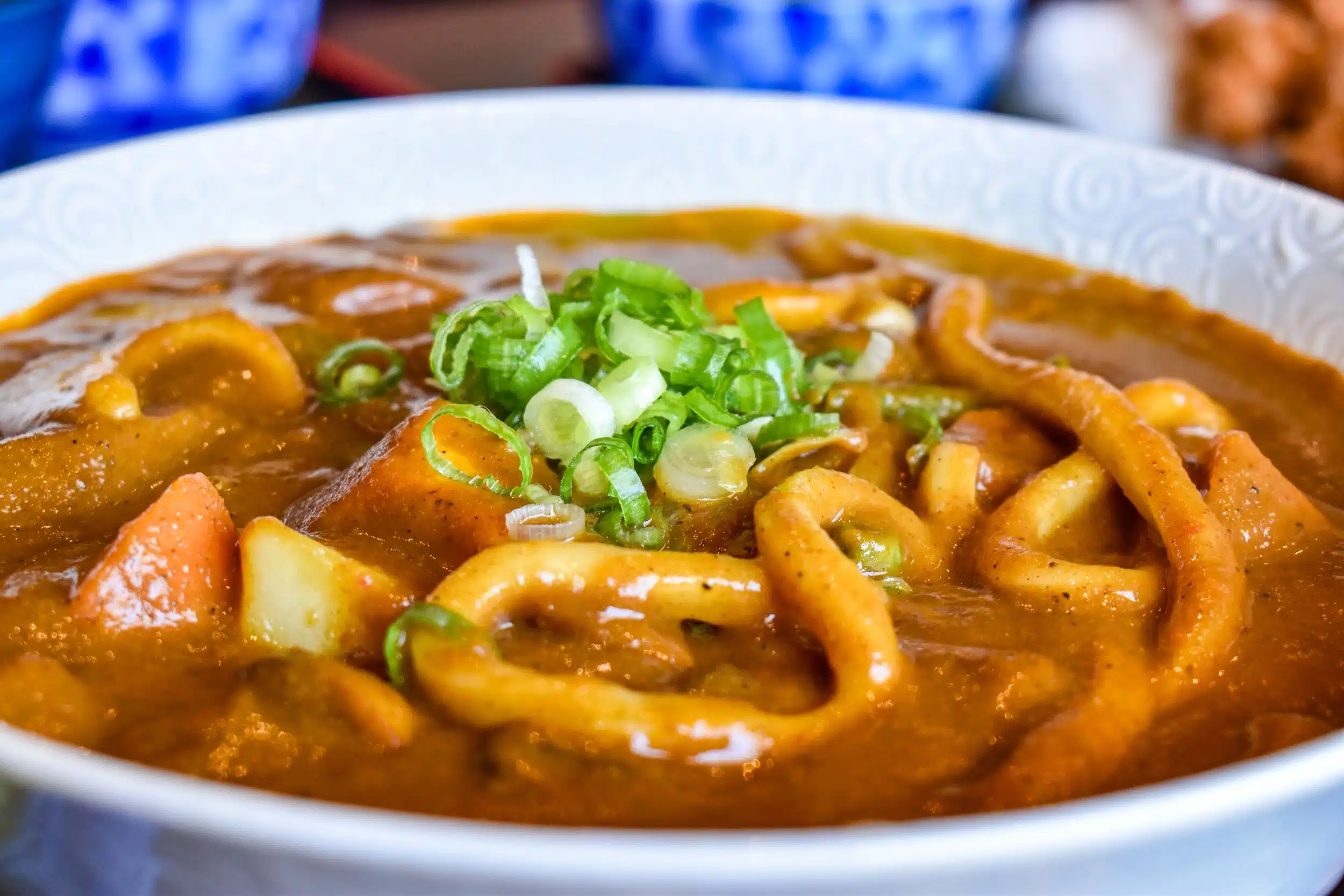 Tanuki Curry House brings a glorious, proper Japanese curry to