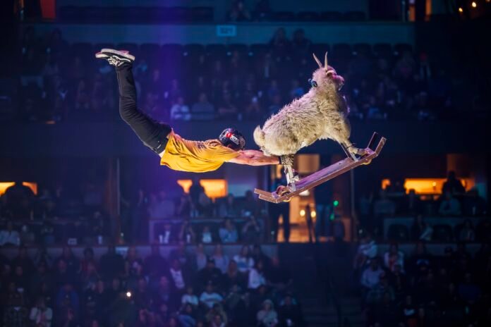 nitro circus long beach