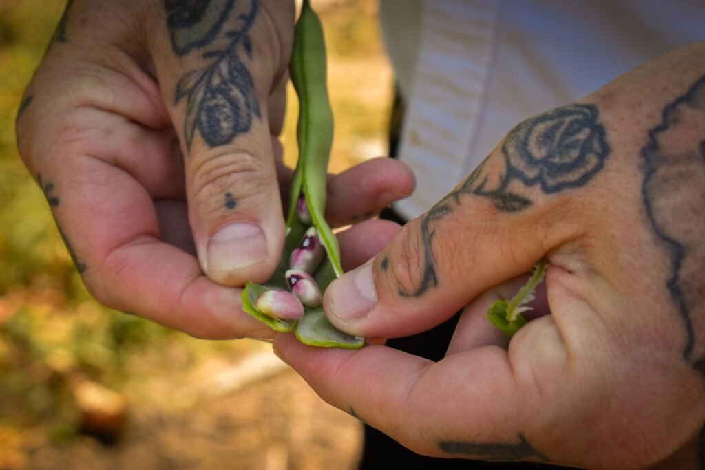 full belly food group heritage long beach sustainability restaurants