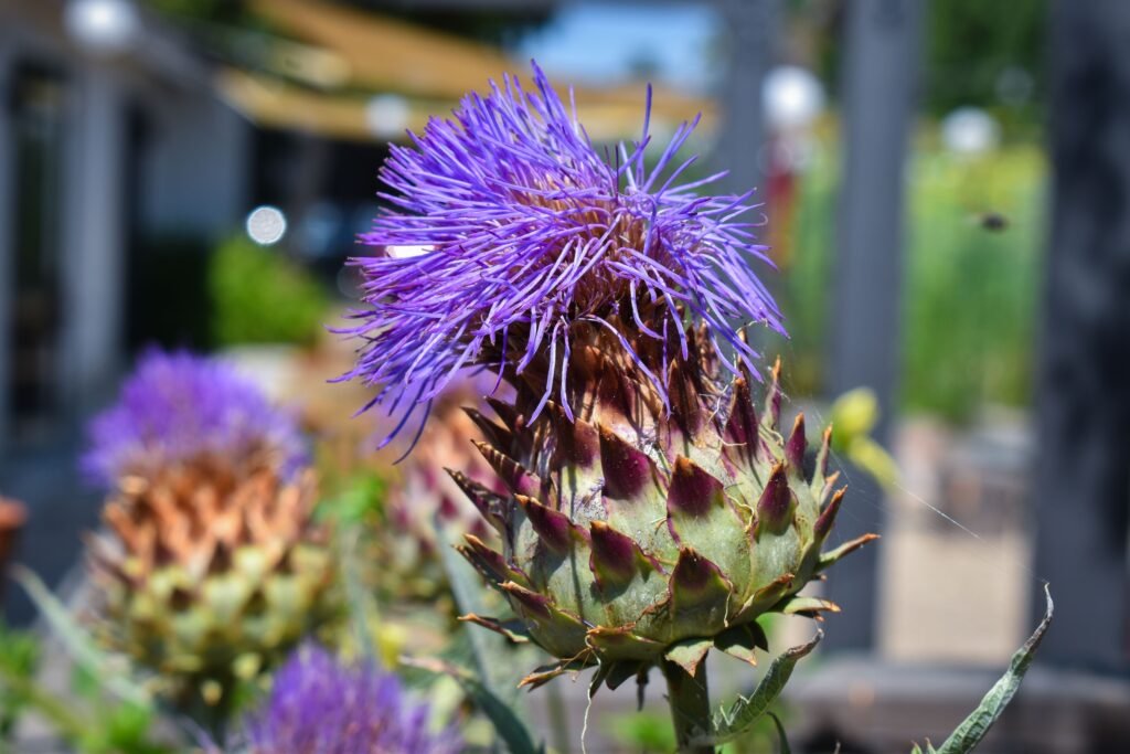 full belly food group heritage long beach sustainability restaurants
