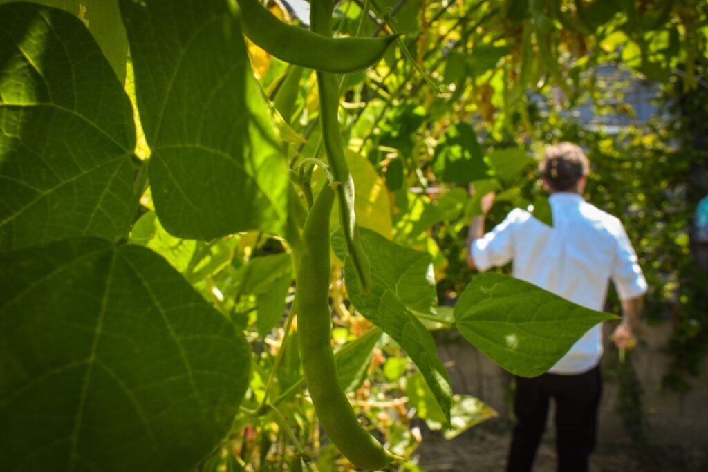 full belly food group heritage long beach sustainability restaurants