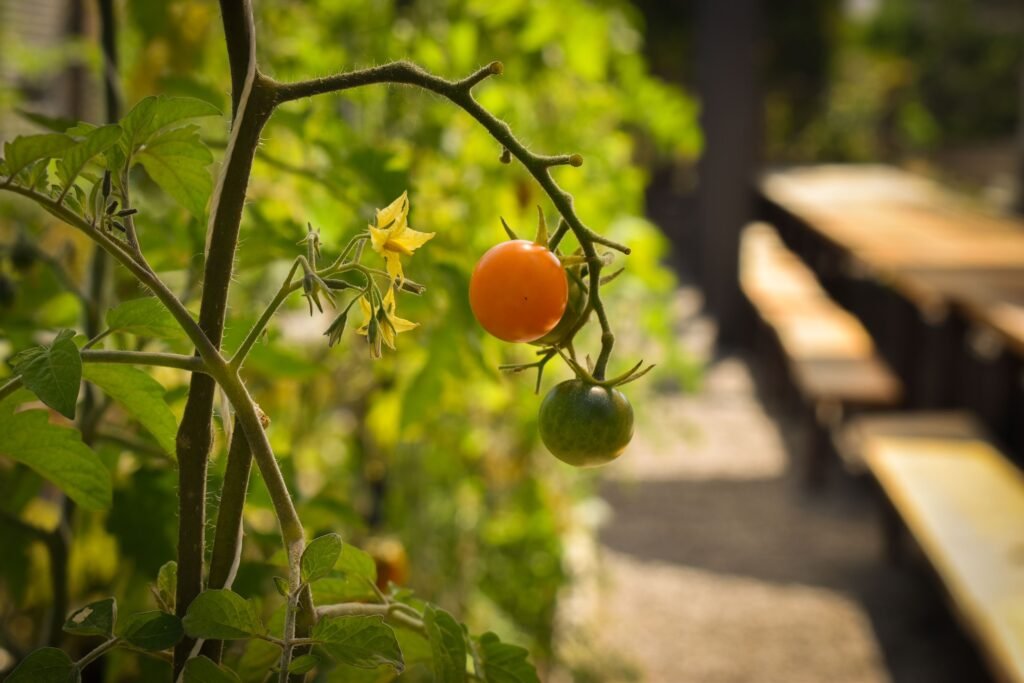 full belly food group heritage long beach sustainability restaurants