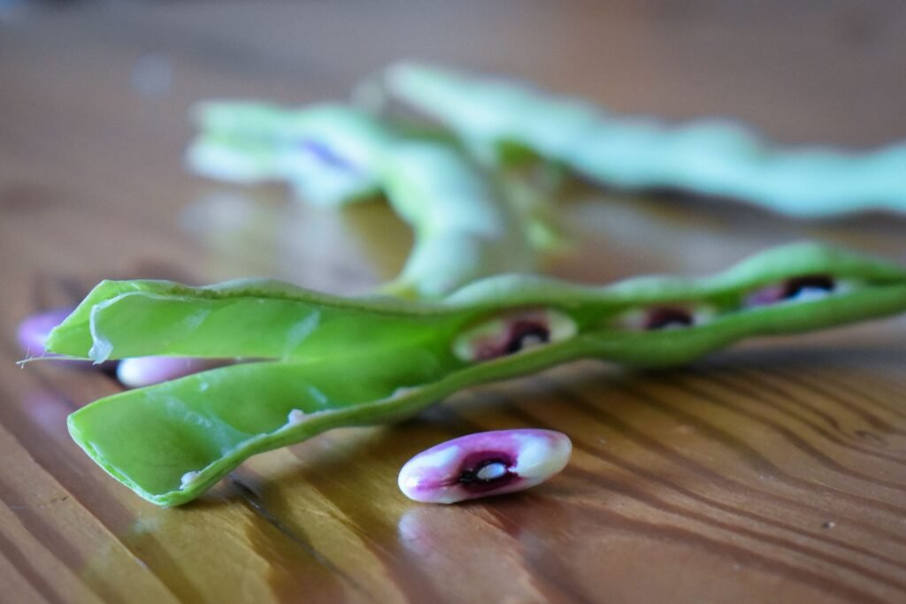 full belly food group heritage long beach sustainability restaurants