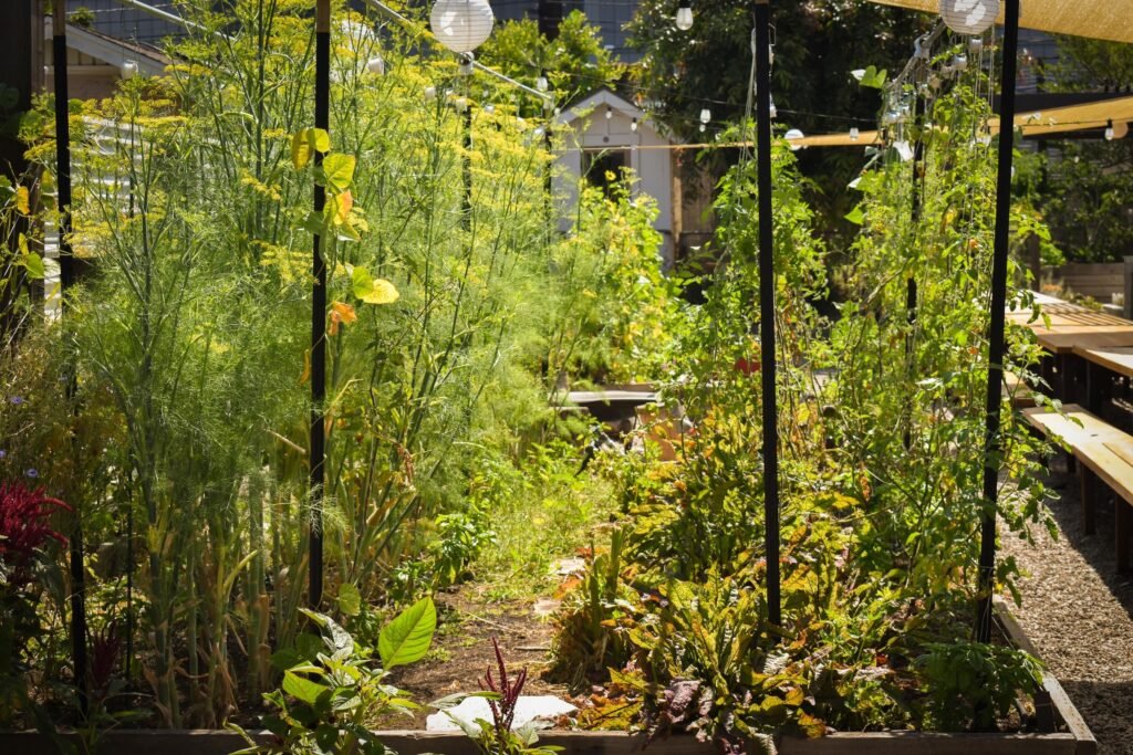 full belly food group heritage long beach sustainability restaurants