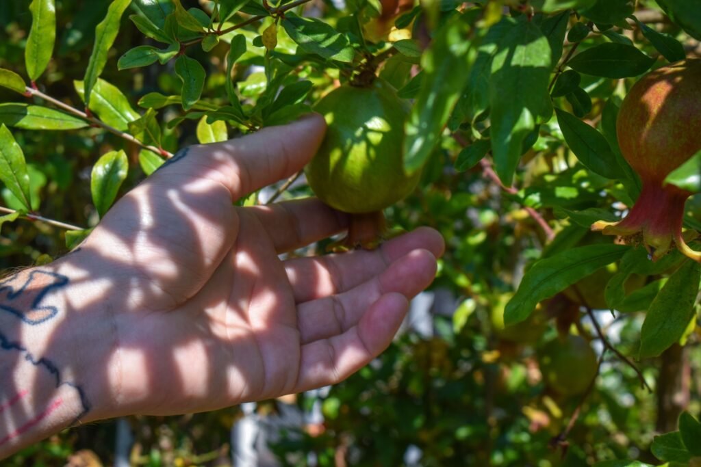full belly food group heritage long beach sustainability restaurants