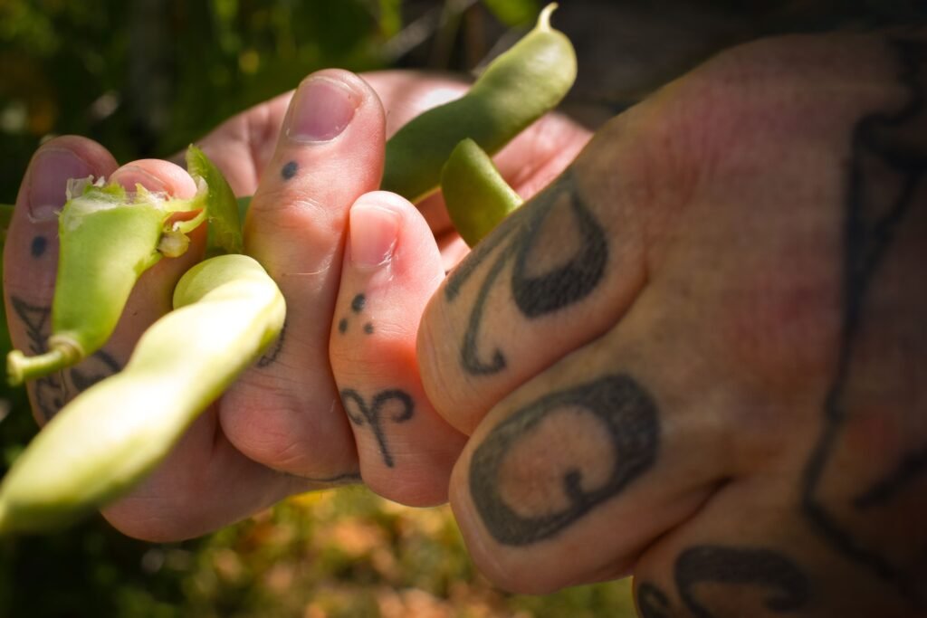 full belly food group heritage long beach sustainability restaurants
