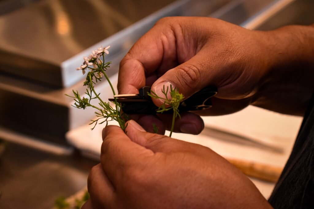 long beach grand prix fixe chef luis navarro chef maxwell pfeiffer