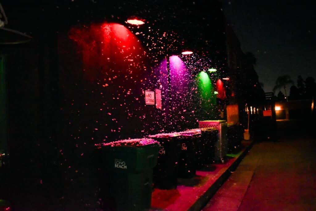 baby gee long beach holiday 2025