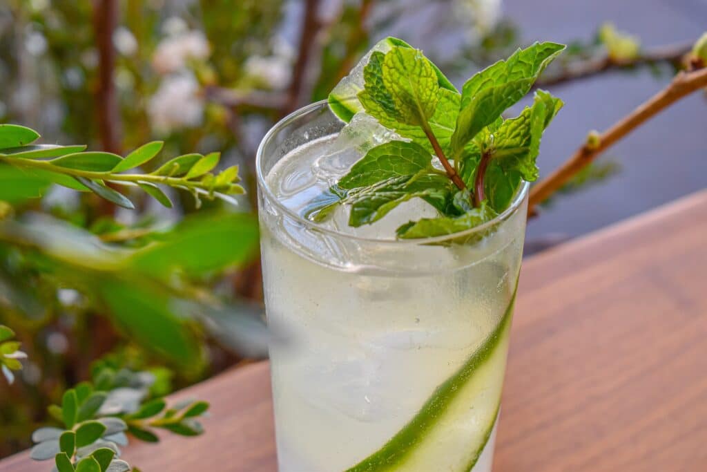 marlena long beach last call 2026