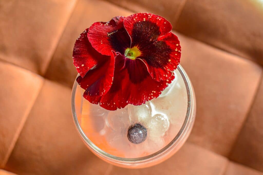 wicked wolf long beach