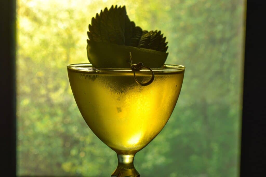 wicked wolf long beach