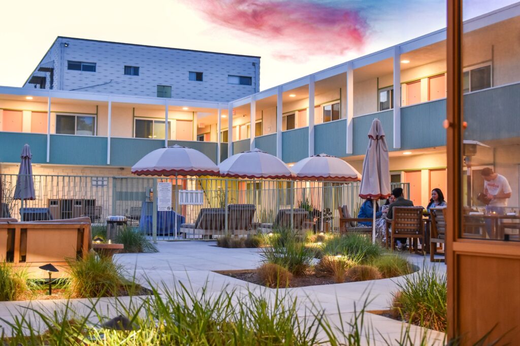 olive & rose long beach dtlb