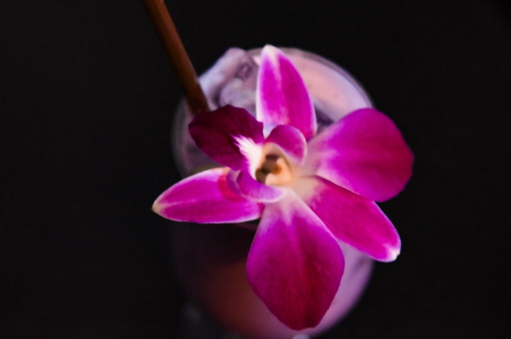 port city tavern long beach spring menu 2026