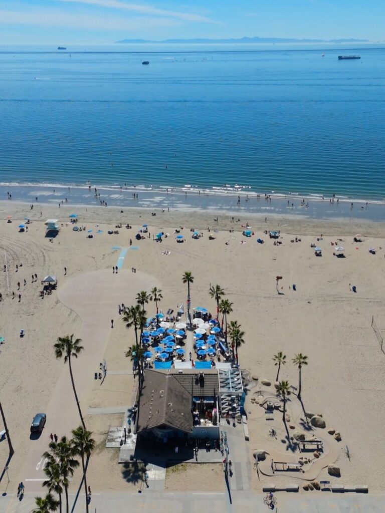 monty's dog beach