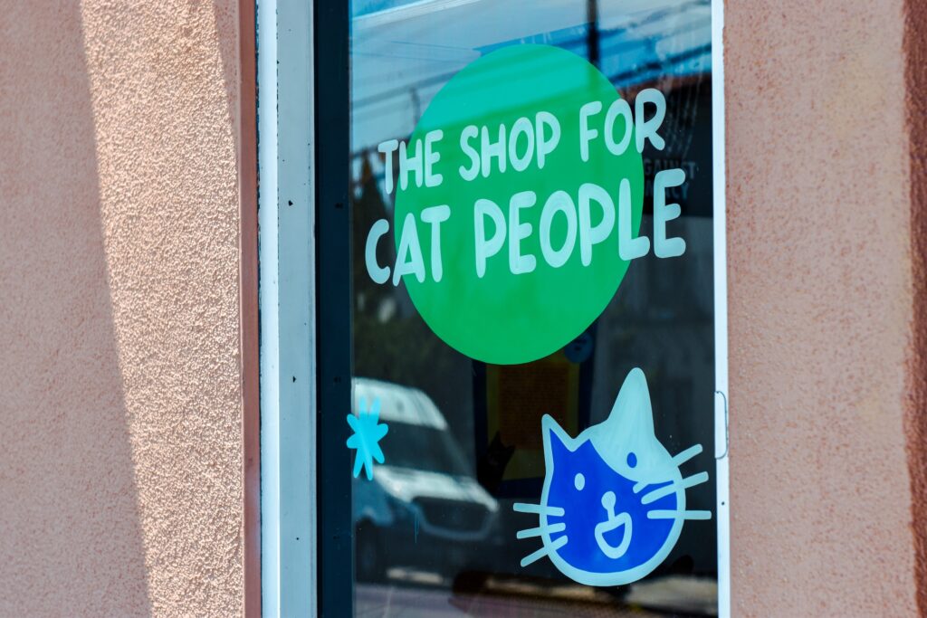 cat zine fest long beach cool cat collective