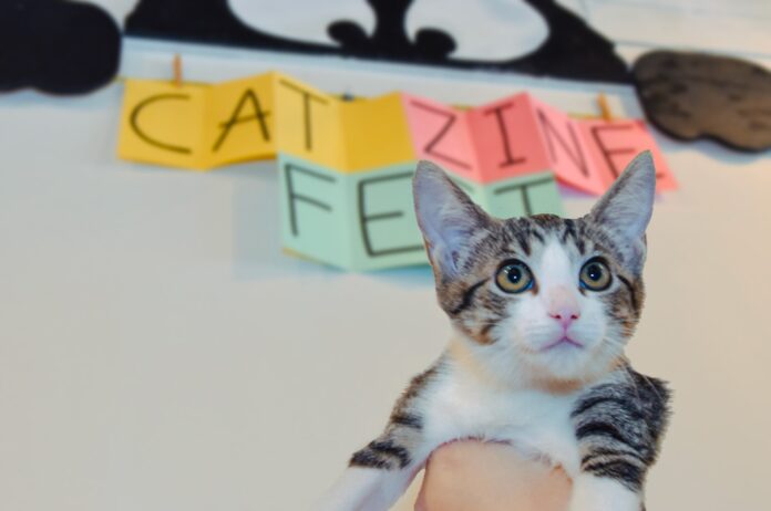 cat zine fest long beach cool cat collective