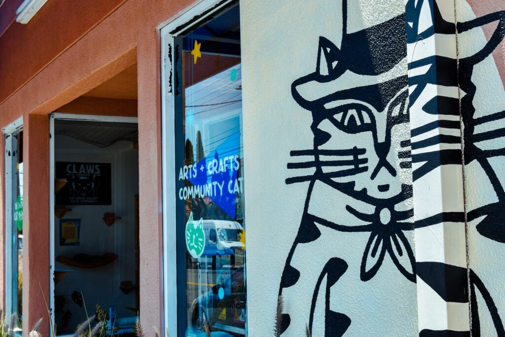 cat zine fest long beach cool cat collective