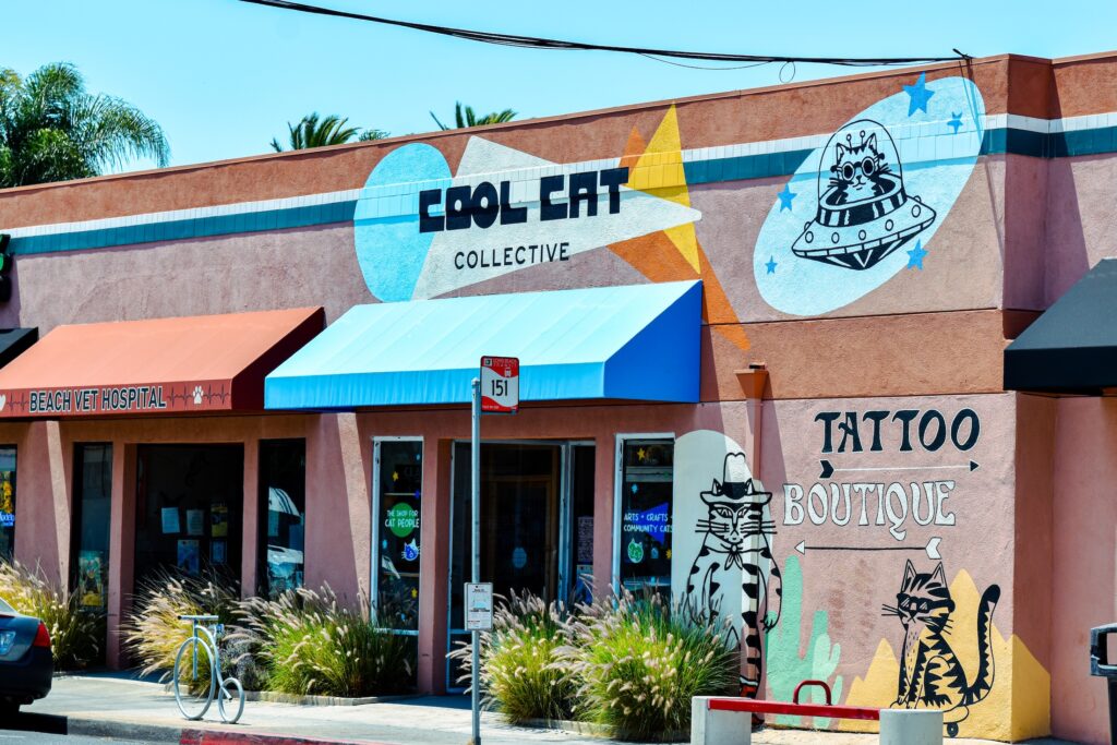 cat zine fest long beach cool cat collective